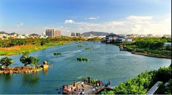 jt66Fk50401DMLj05N4vH4nGThd551z5.jpg 五緣灣濕地公園.jpg